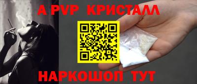 молекула духа Кингисепп
