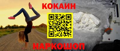 молекула духа Кингисепп