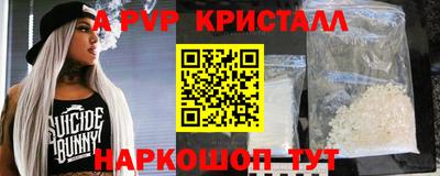 молекула духа Кингисепп
