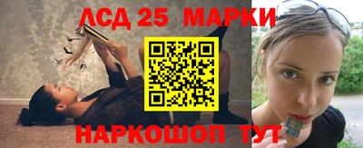 молекула духа Кингисепп