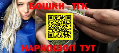 молекула духа Кингисепп