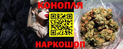 молекула духа Кингисепп