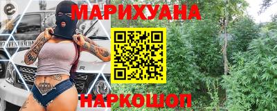 молекула духа Кингисепп