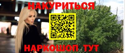 молекула духа Кингисепп