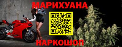 молекула духа Кингисепп