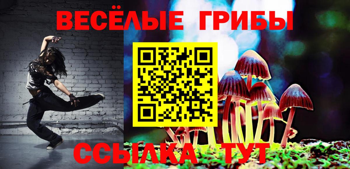 Псилоцибиновые грибы ЛСД Кострома
