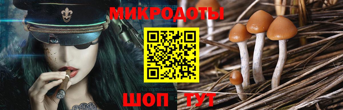 наркота  Вход с VPN  Кострома  Псилоцибиновые грибы Magic Shrooms 
